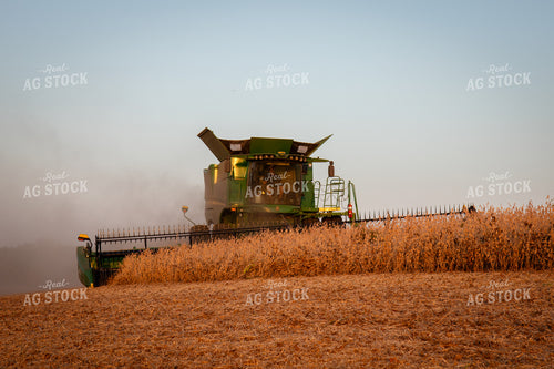 Soybean Harvest 268089