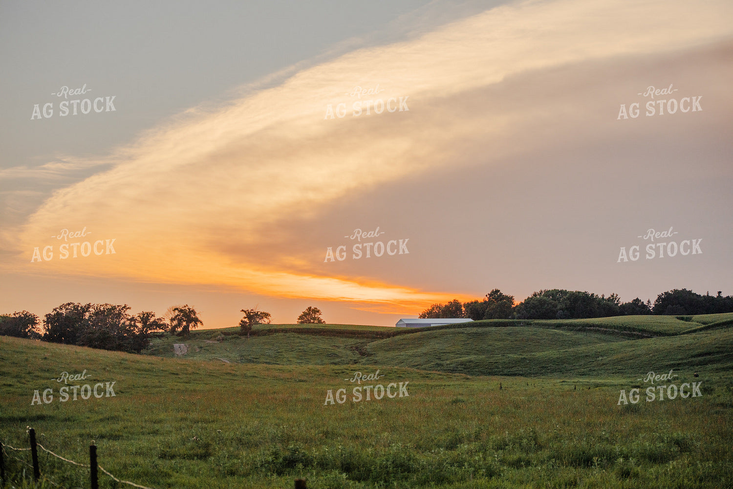 Scenic Pasture at Sunset 272031