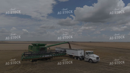 Wheat Harvest 239340