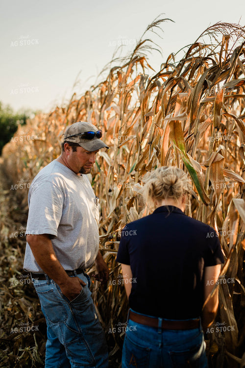 Farmer and Agronomist Talking in Field 8284