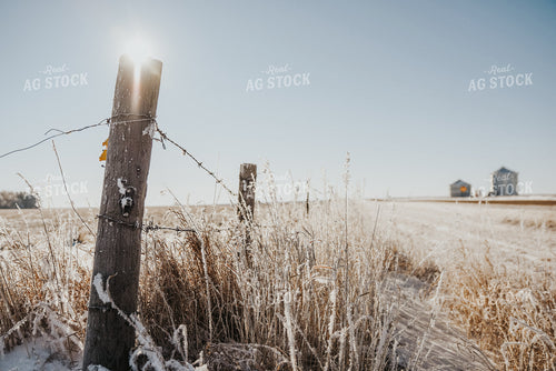 Snowy Pasture and Fence Line 68004