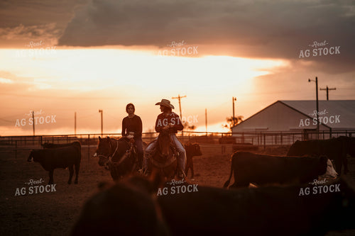 Feedyard 3115