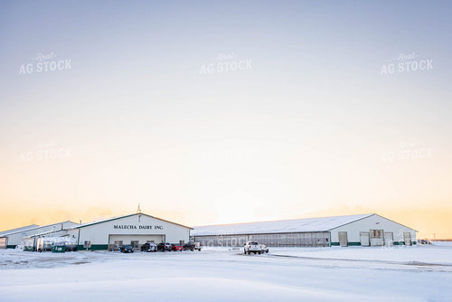 Cattle Barns in Winter 152423