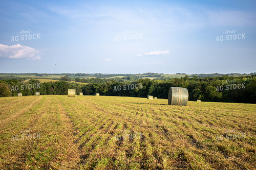 Scenic Hay Field 214241