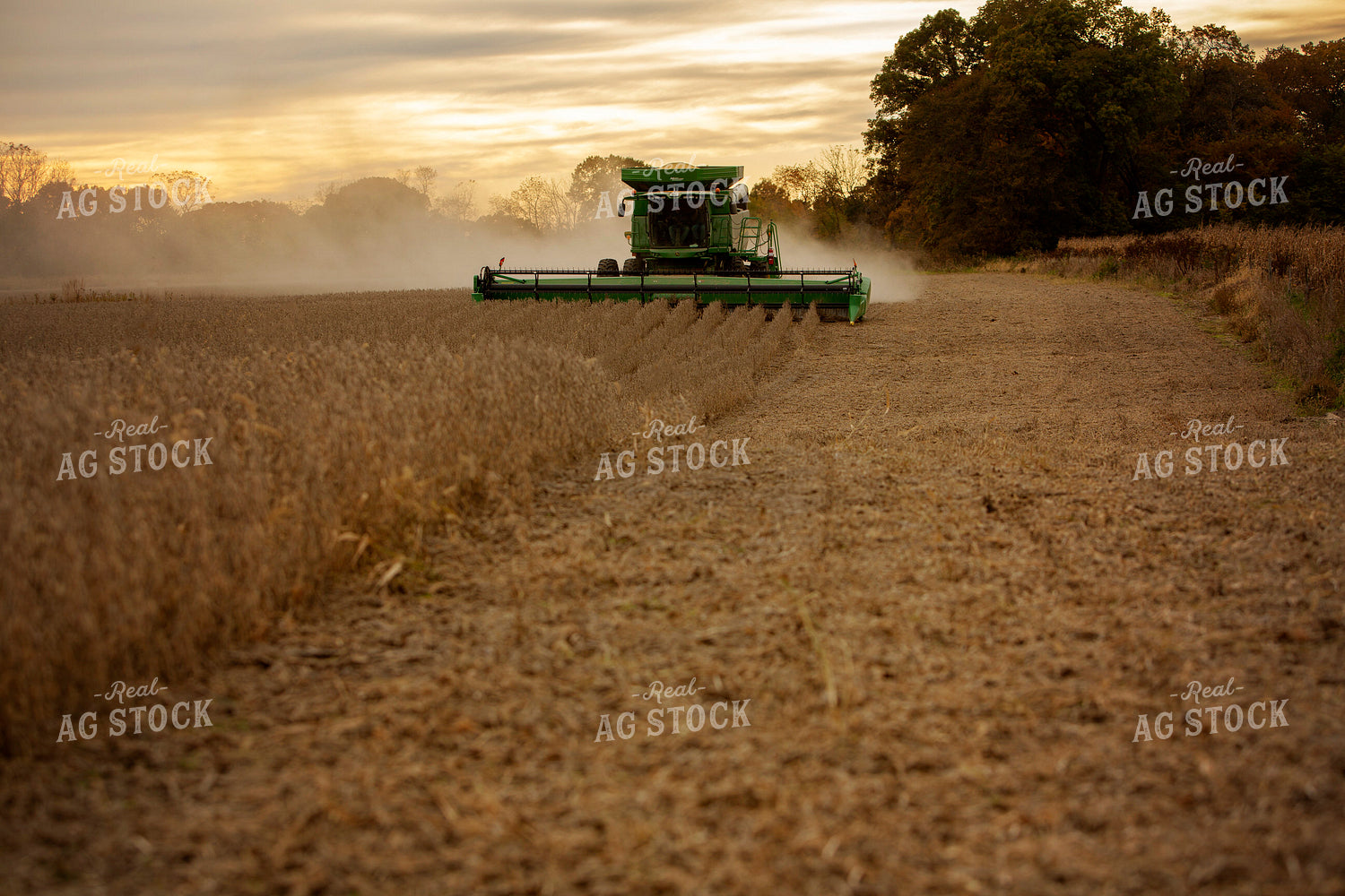 Harvest 2622