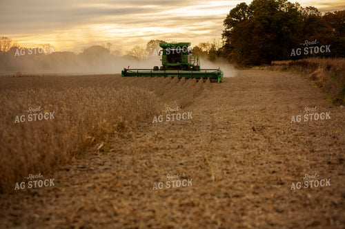 Harvest 2622