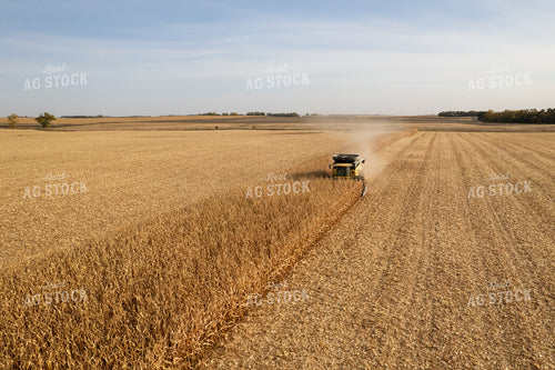 Corn Harvest 255002