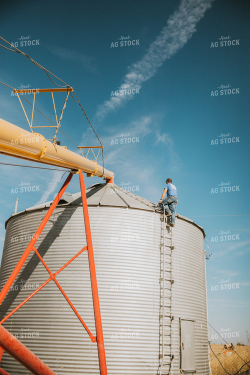Auger Filling Grain Bin 7069