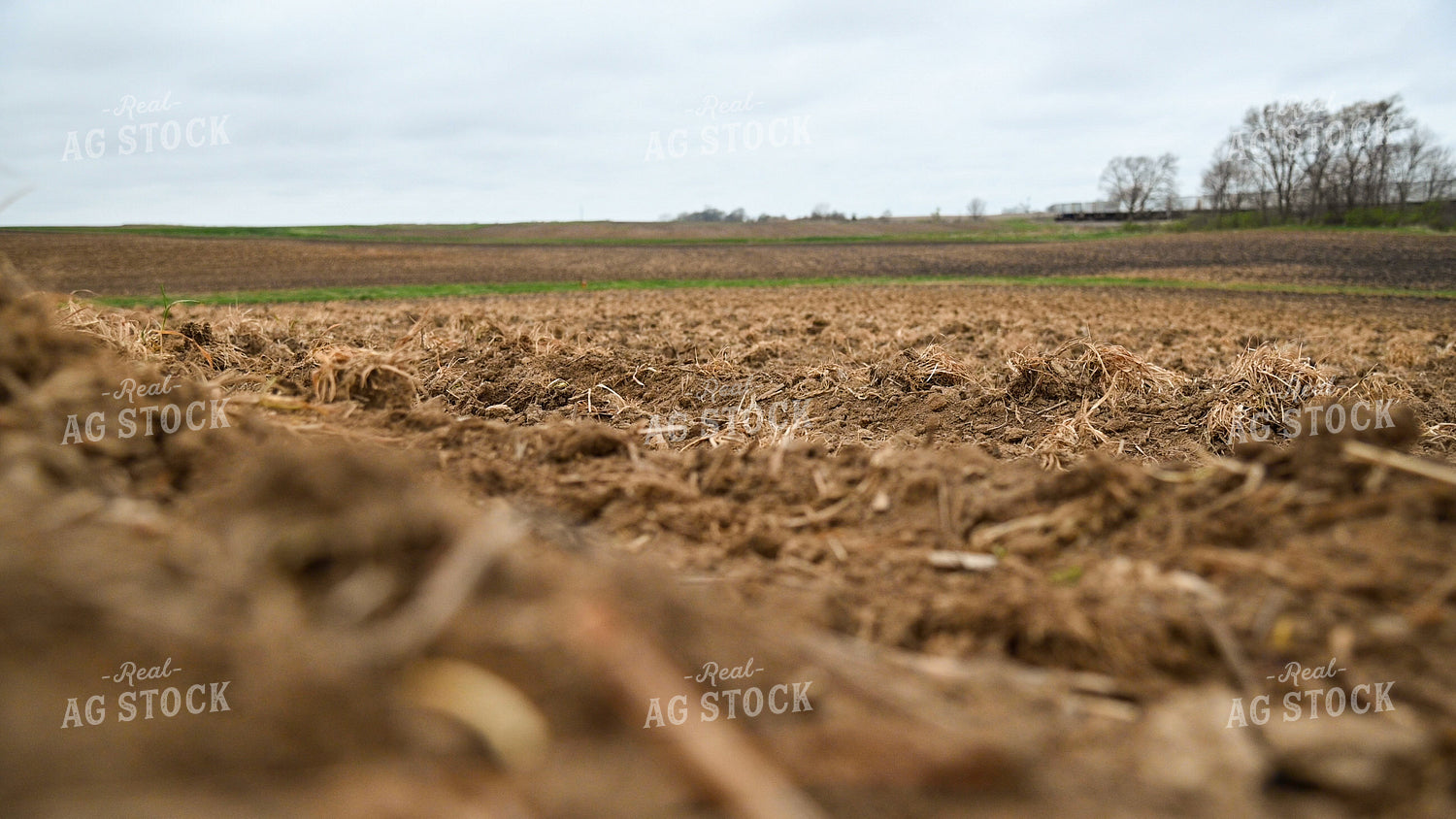 Planting into Tilled Cover Crops 25141