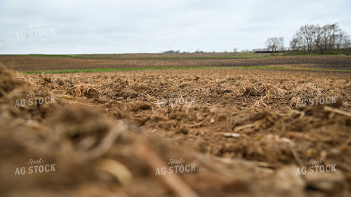 Planting into Tilled Cover Crops 25141