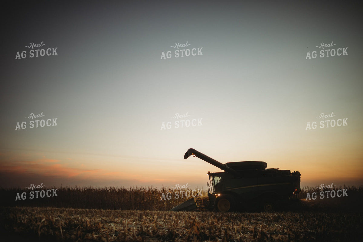 Combine Harvesting Corn at Sunset 400005