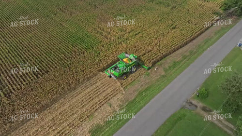 Corn Harvest 92054