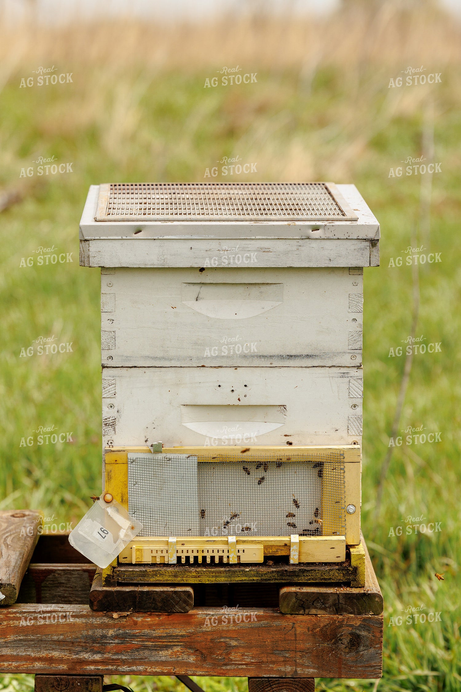Bee Box 104027