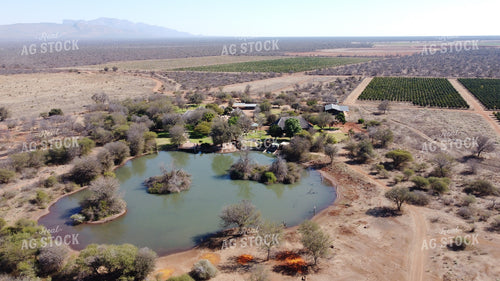 Aerial of Orchard 122013