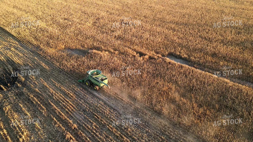 Aerial of Corn Harvest 268271