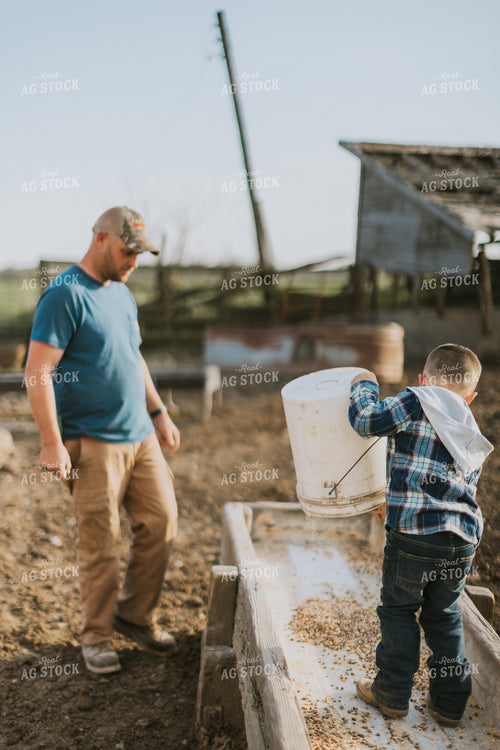 Farm Kid Helping with Chores 7388