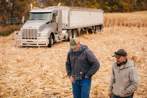 Corn Harvest 285008