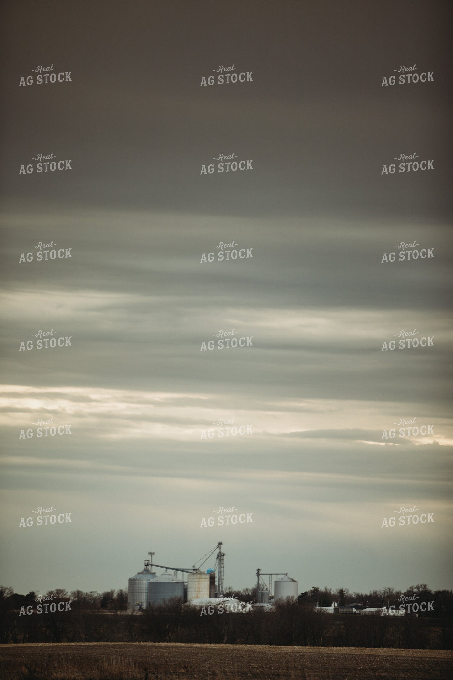 Grain Elevator 3680
