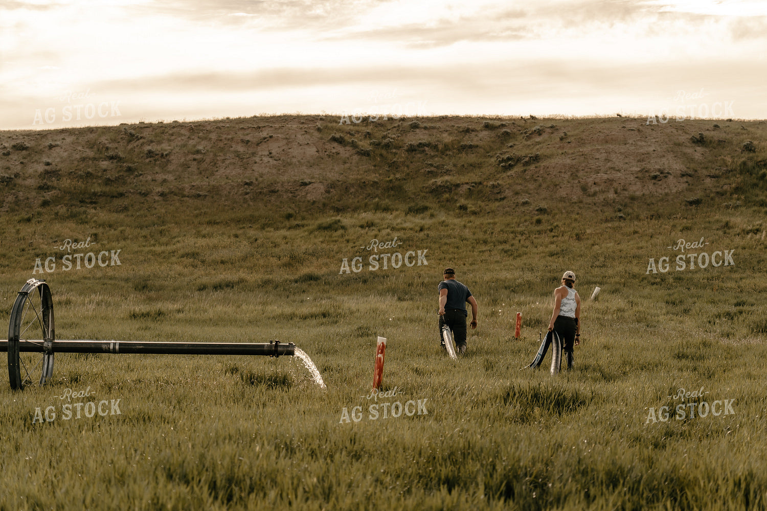 Farmers and Irrigation System 58220