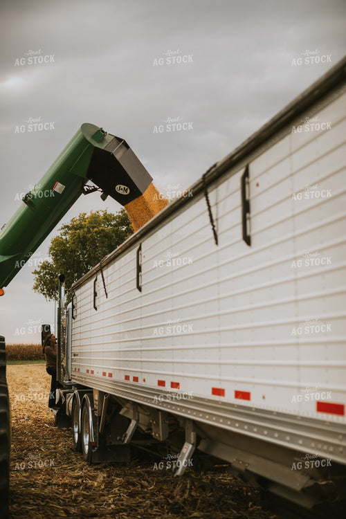 Grain Cart Unloading into Semi 6595