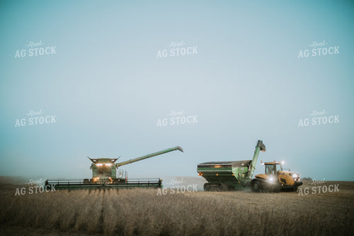 Soybean Harvest 6783