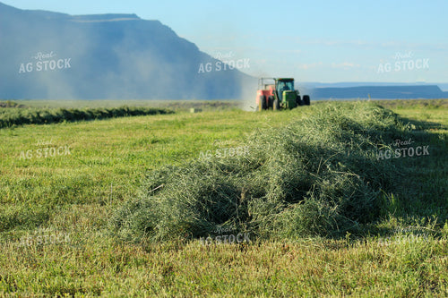 Baling Summer Hay Alfalfa and Mixed Grass 78140