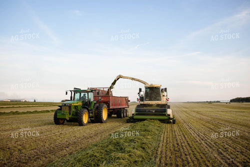 Chopping Silage 152128