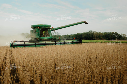 Soybean Harvest 8665