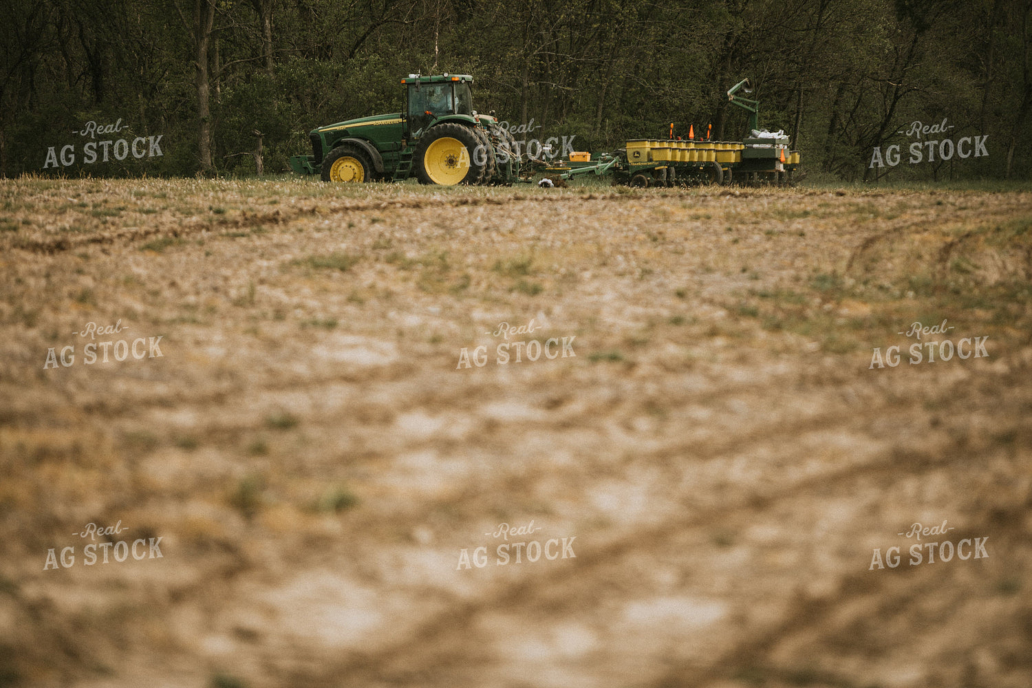 Planting Corn on No-Till Ground 4025