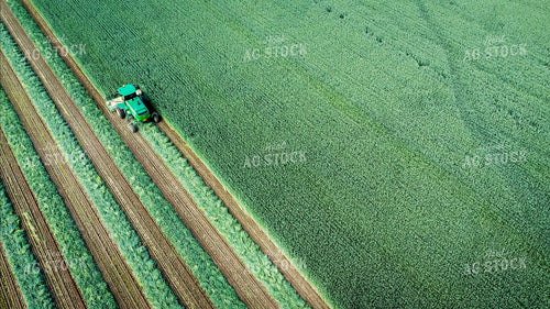 Cutting Wheat 56146