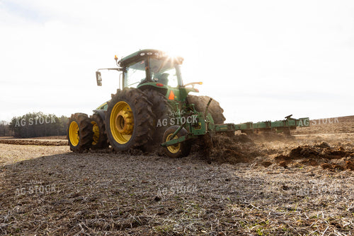 Cultivating 79546