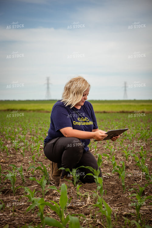 Female Agronomist Scouting Field 67752