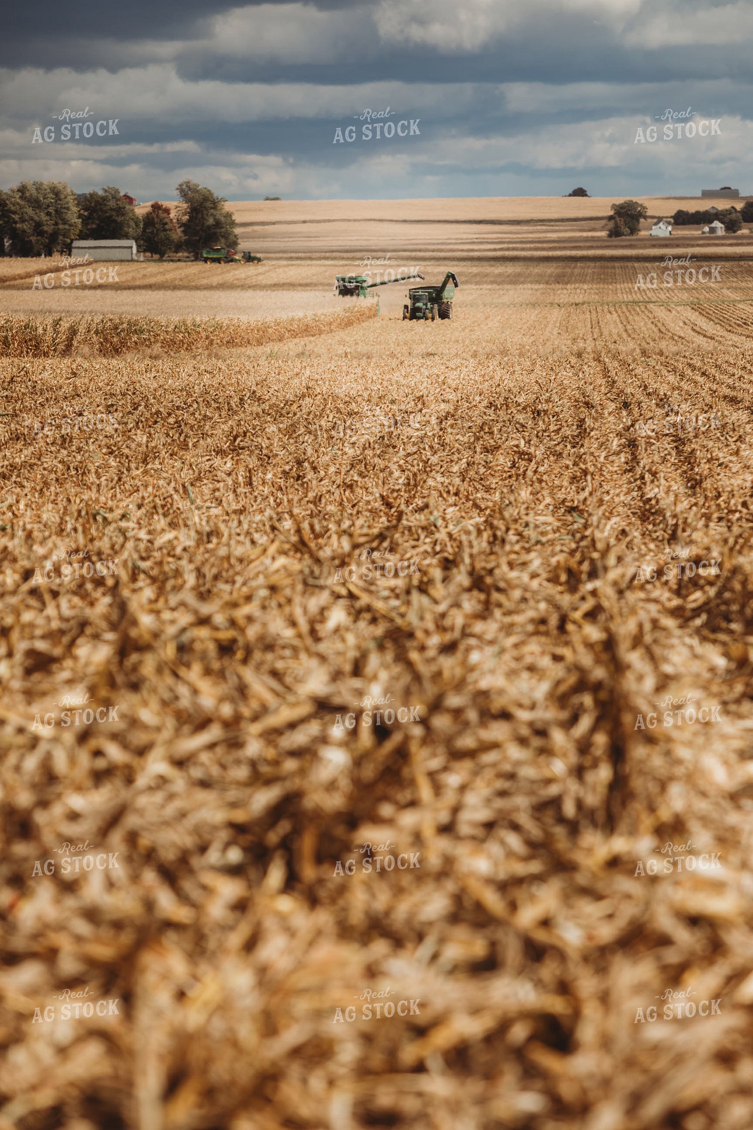 Combine Harvesting Corn and Unloading On the Go onto Auger Wagon 3324