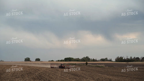 Planting 302039