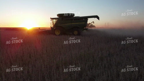 Aerial Drone of Soybean Harvest at Sunset in Field with Terraces 7374