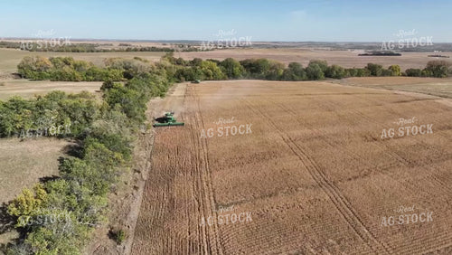 Soybean Harvest 236004