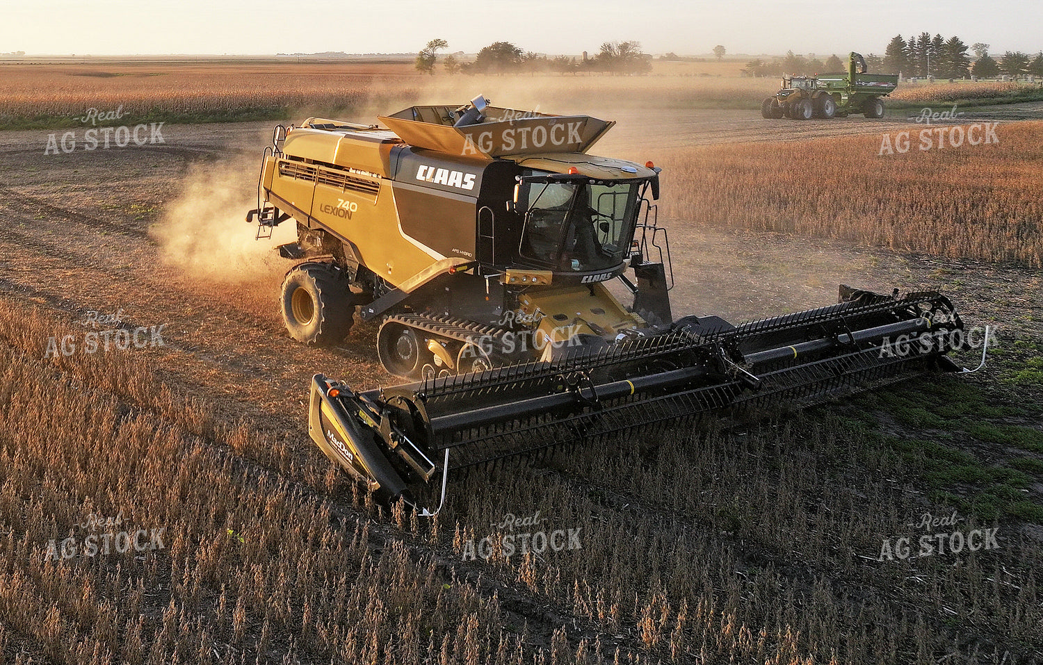 Soybean Harvest 141474