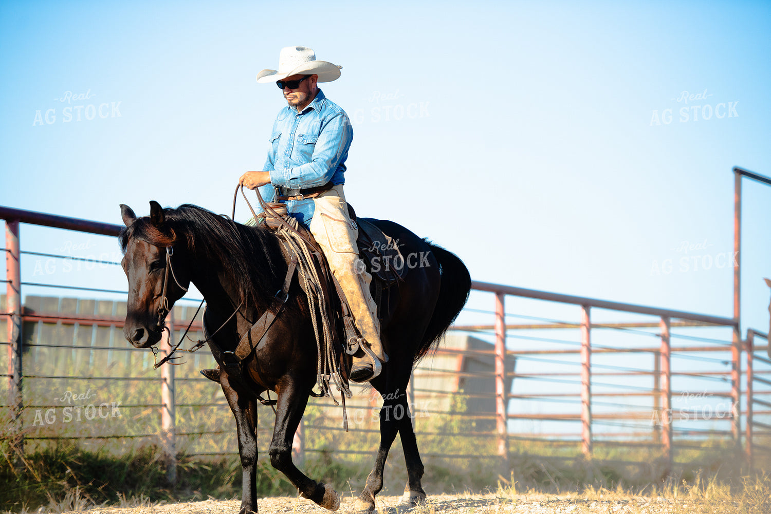 Rancher on Horseback 301066