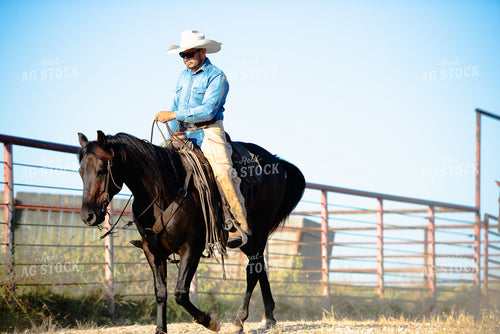 Rancher on Horseback 301066