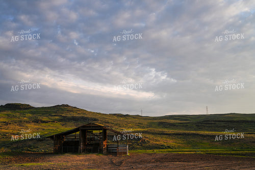 Ranch Scene 65601