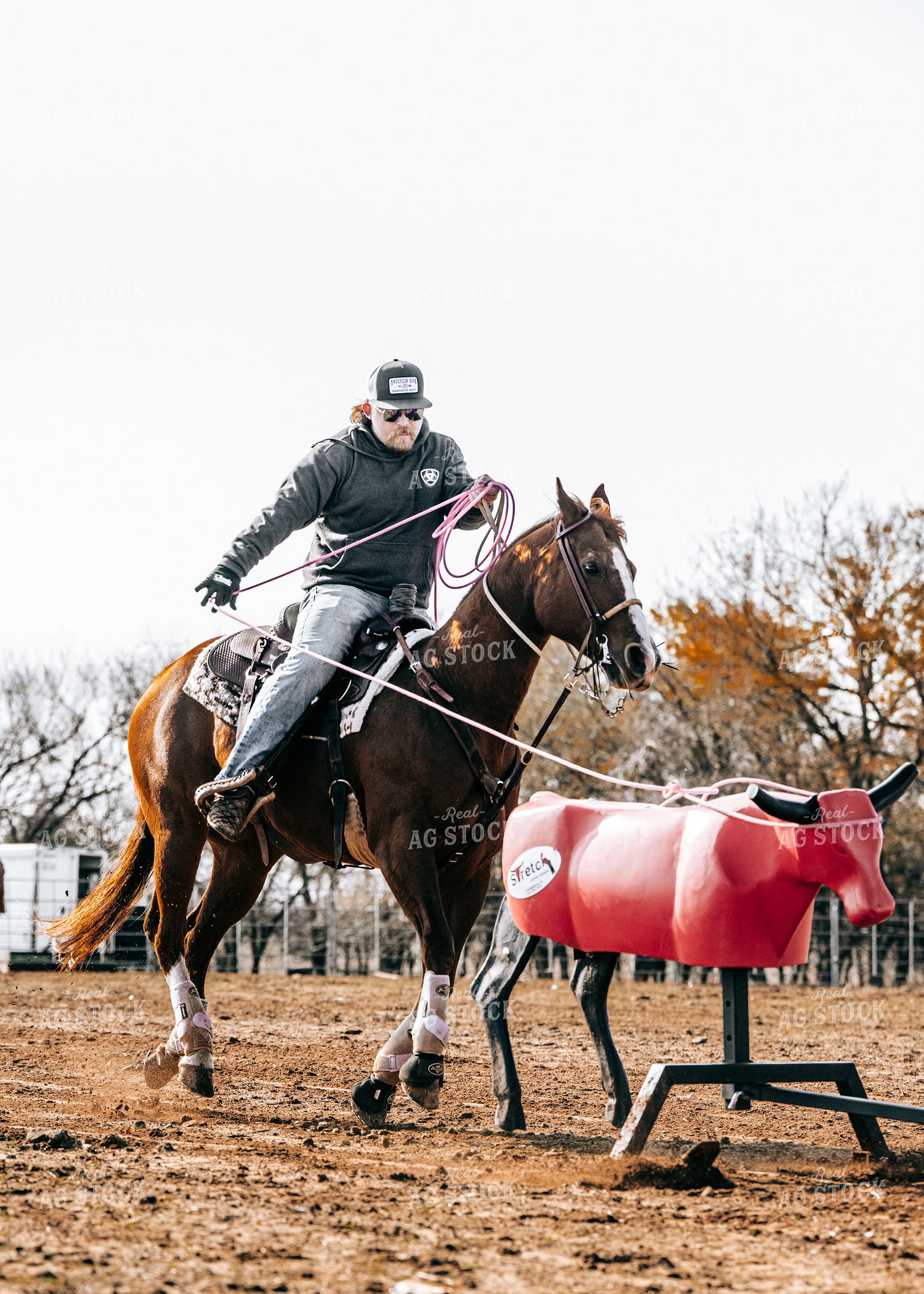 Roping 171020