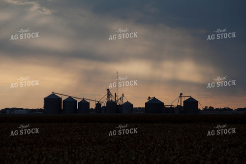 Rural 2021