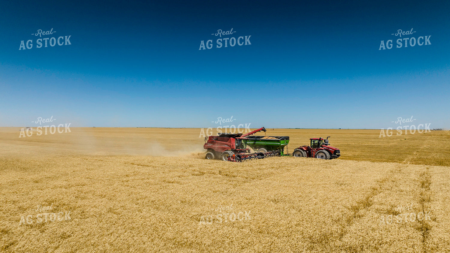 Wheat Harvest 199053