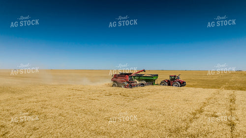Wheat Harvest 199053