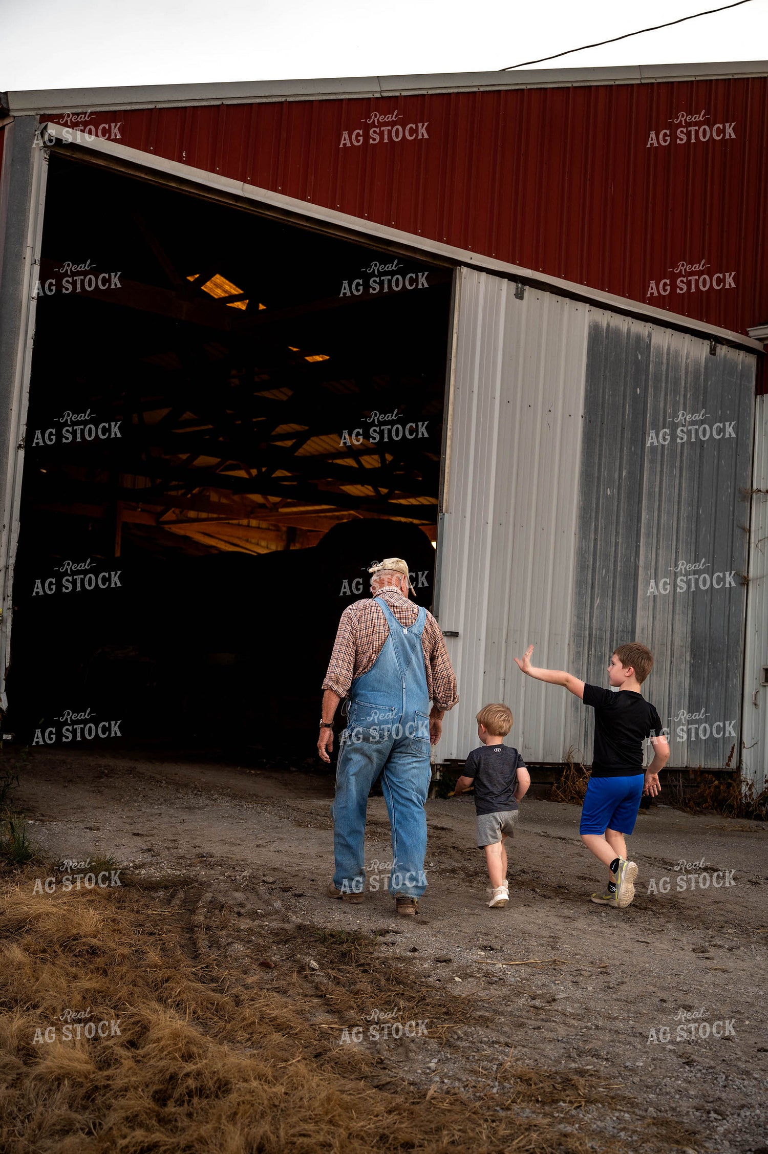 Farmer and Grandkids on Farm 115898