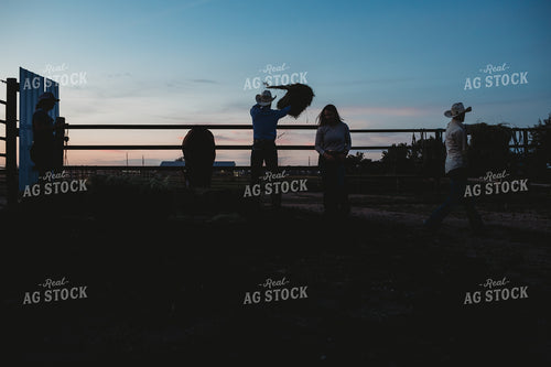 Ranchers Throwing Hay in Barn 6437