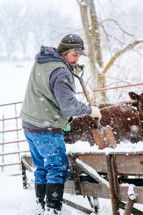 Farmer Clearing Snow from Trough 214023