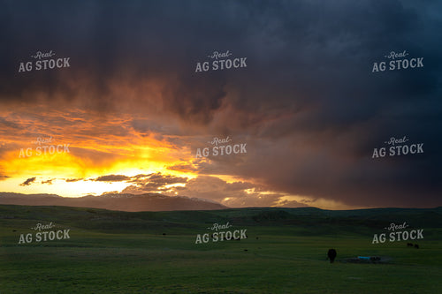 Vivid Sunset Over Rolling Green Fields With Stormy Skies and Distant Landscape 65222