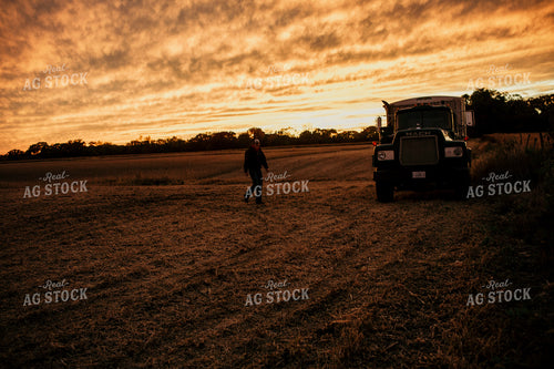 Harvest 2662