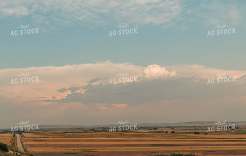 Harvested Fields 61041